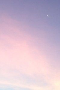 柏林赫塔在主场拿下胜利，信心大增