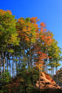 法国颓势难扭，胜利之路千疮百孔