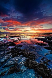 杜兰特重回球场，带领篮网向总冠军发起冲击