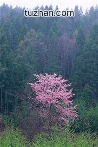 柏林赫塔在主场拿下胜利，信心大增