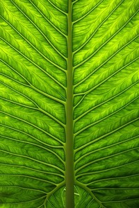 国际女足赛事：中国队全面占优势